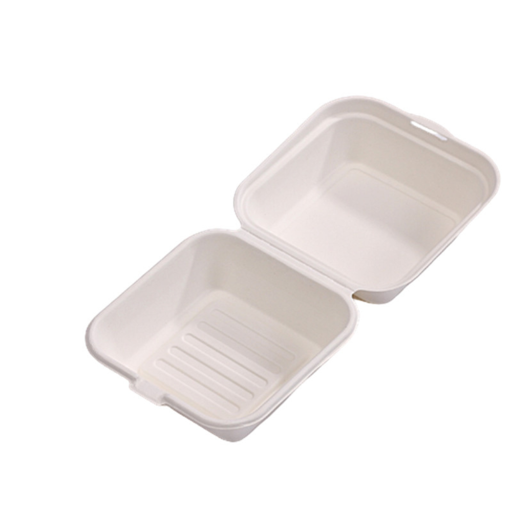 6" Compostable Sugarcane Lunch Container