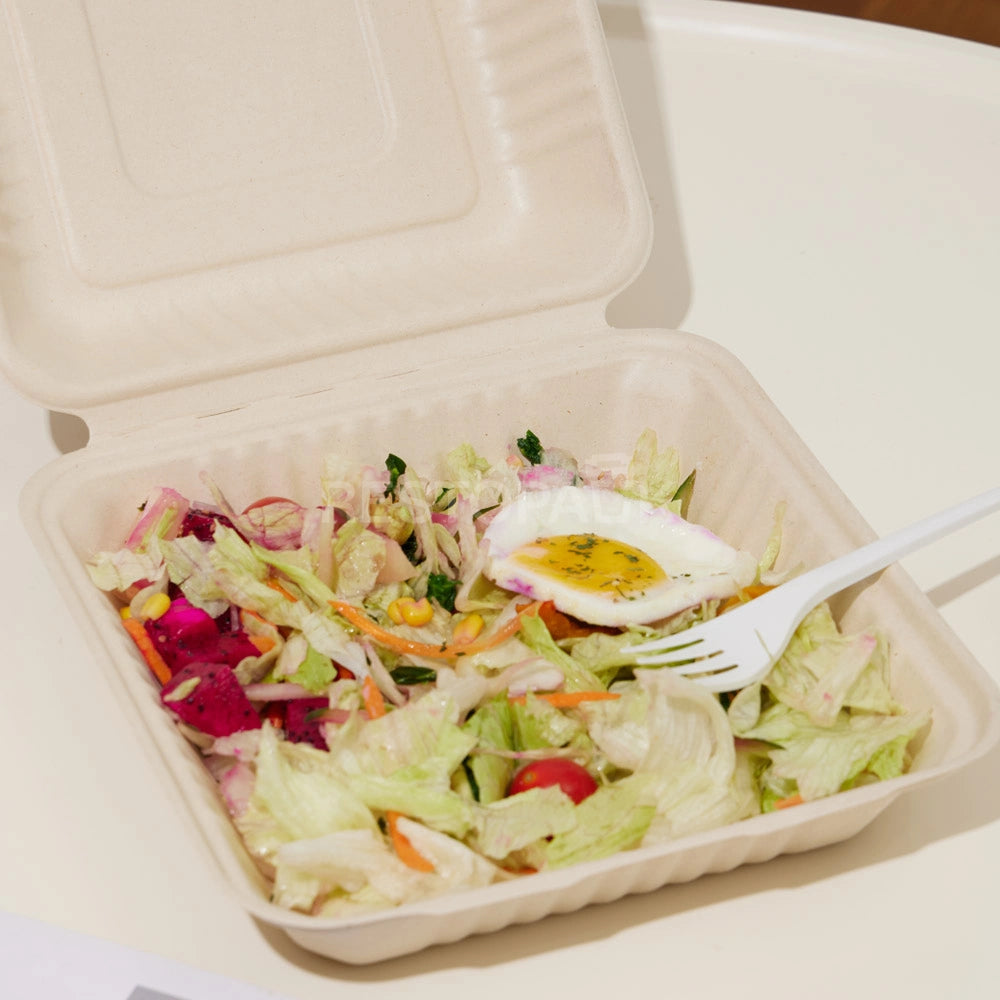 9" Compostable Sugarcane Bagasse Square Food Box