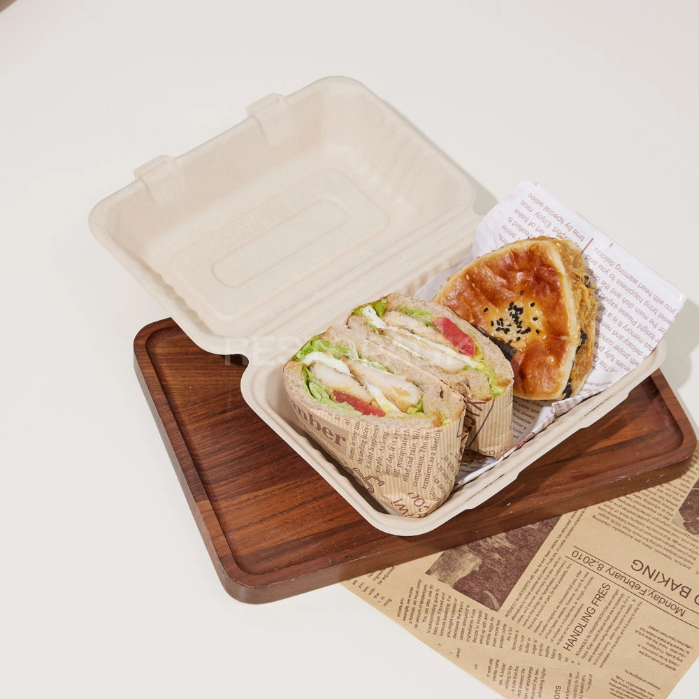 9" × 6" × 3" Compostable Sugarcane Bagasse Square Food Box