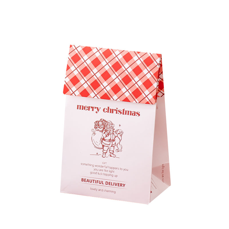 Christmas Stand Up Pouch Bags