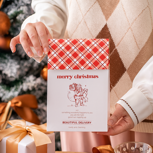 Christmas Stand Up Pouch Bags with Velcro Seal