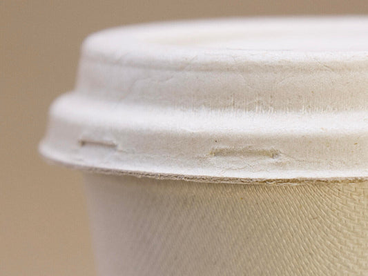 Best Disposable Coffee Cup Lids: PET vs PLA vs Bagasse (Pros & Cons)