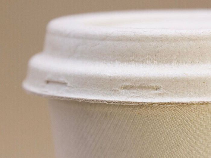 Best Disposable Coffee Cup Lids: PET vs PLA vs Bagasse (Pros & Cons)