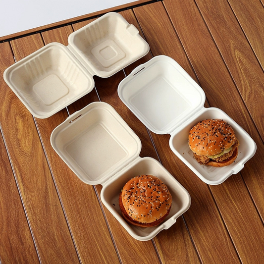 6" Compostable Sugarcane Lunch Container