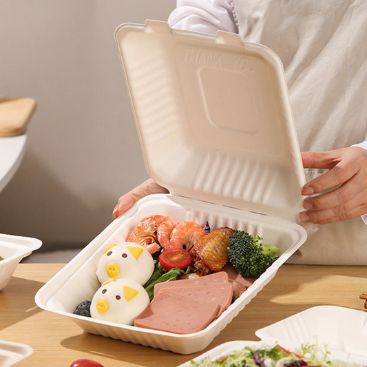 9" Compostable Sugarcane Bagasse Square Food Box