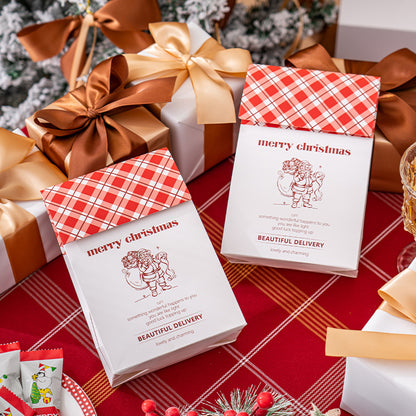 Christmas Stand Up Pouch Bags