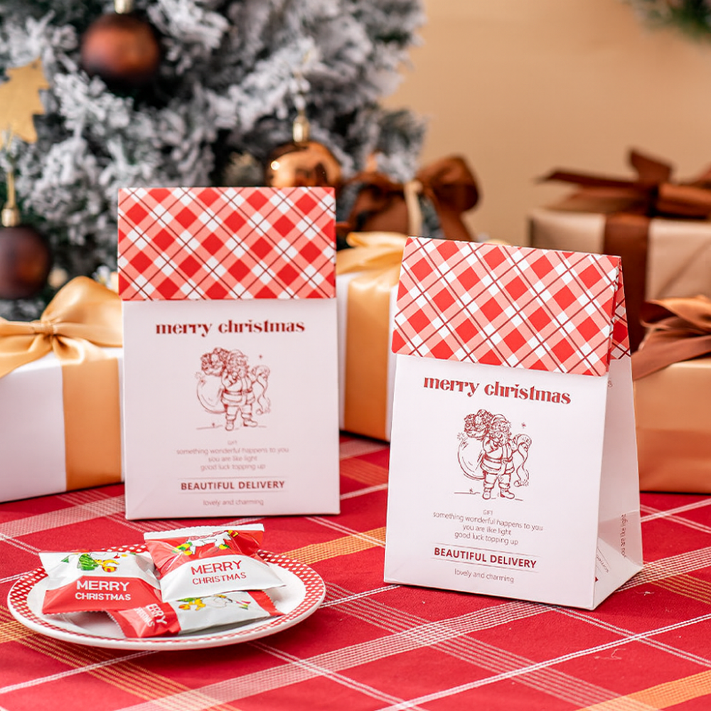 Christmas Stand Up Pouch Bags with Velcro Seal