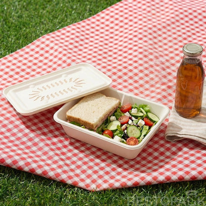 Eco Pulp Takeaway Box with Crisp Retention Design