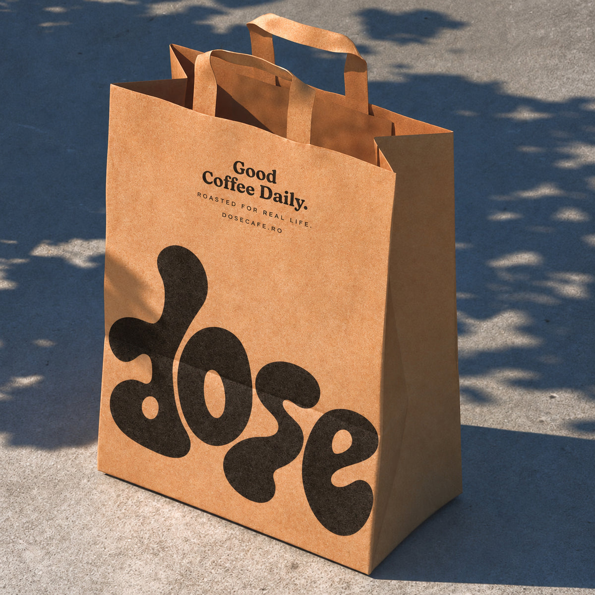 Paper Shopping Bag Sample