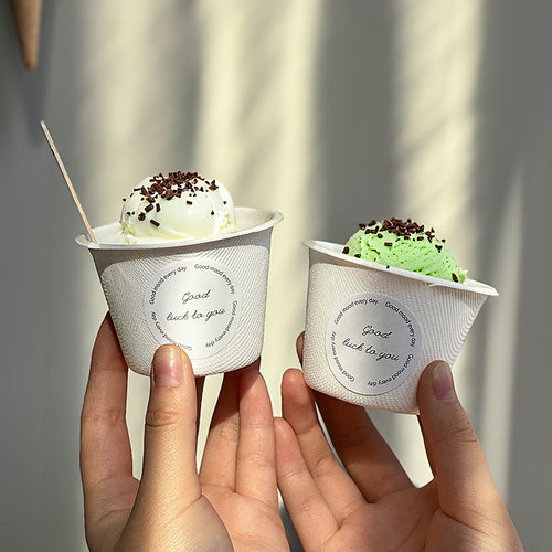 Custom Printed Ice Cream Cups with Lids